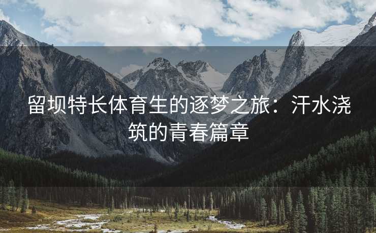 留坝特长体育生的逐梦之旅：汗水浇筑的青春篇章