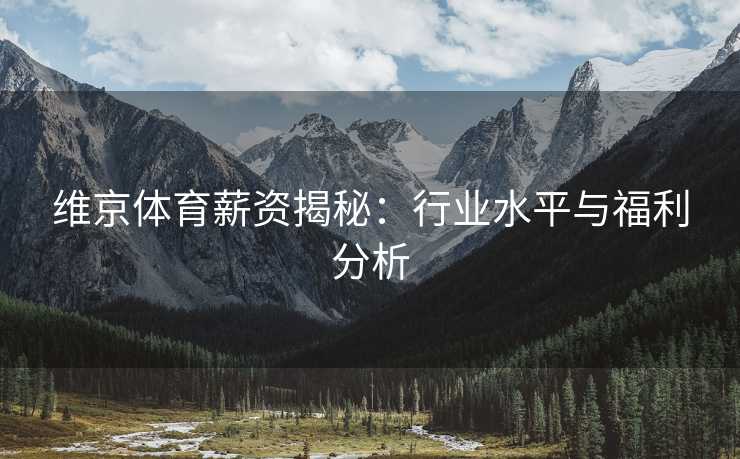 维京体育薪资揭秘：行业水平与福利分析