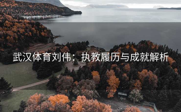 武汉体育刘伟：执教履历与成就解析