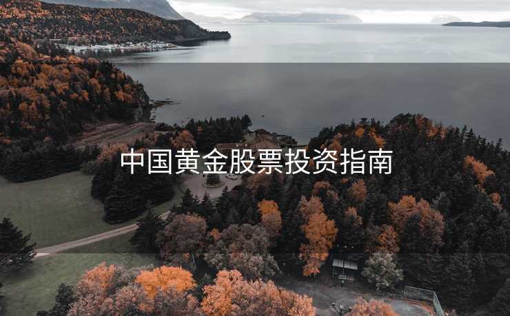 中国黄金股票投资指南
