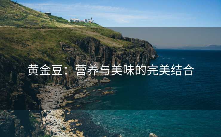 黄金豆：营养与美味的完美结合