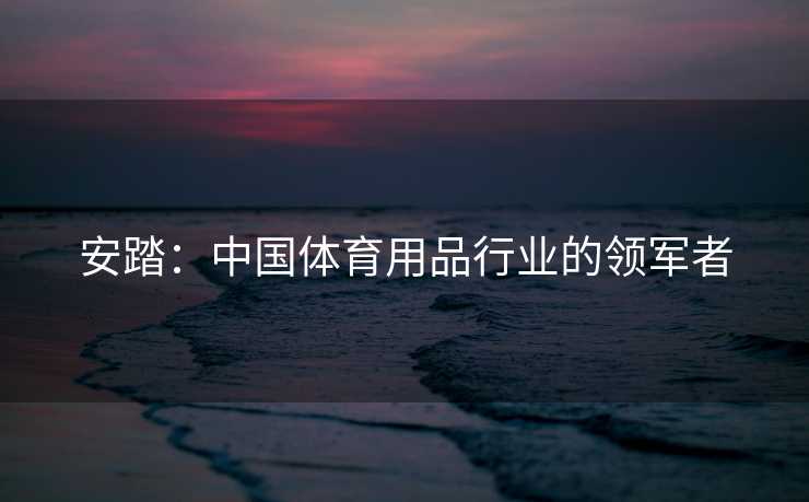 安踏：中国体育用品行业的领军者