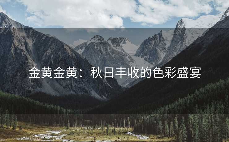 金黄金黄：秋日丰收的色彩盛宴