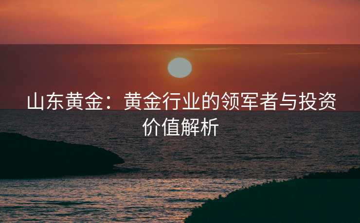 山东黄金：黄金行业的领军者与投资价值解析