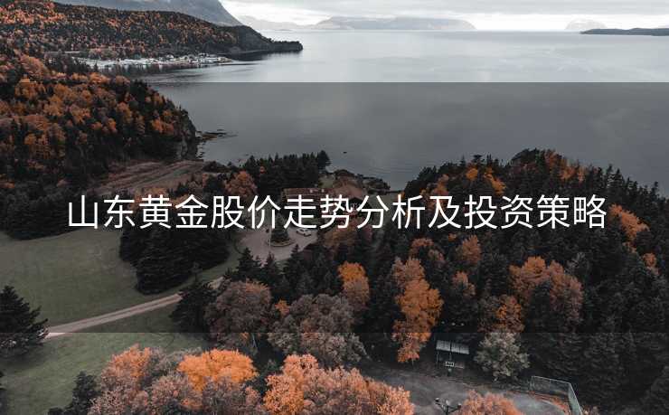 山东黄金股价走势分析及投资策略