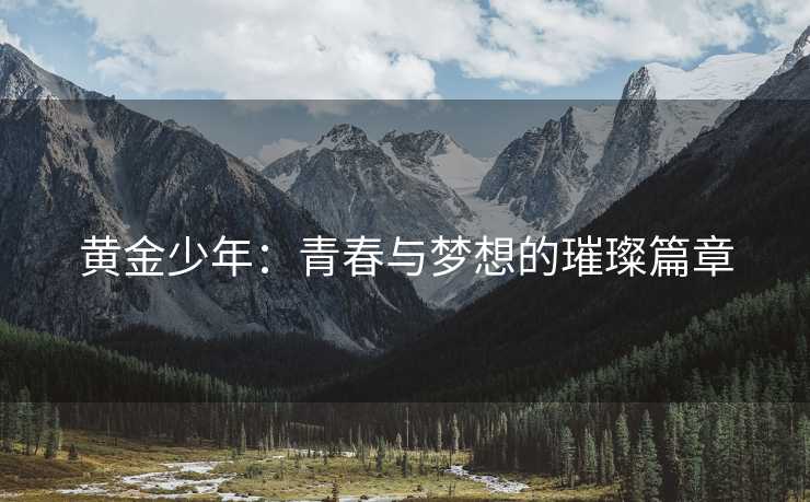 黄金少年：青春与梦想的璀璨篇章