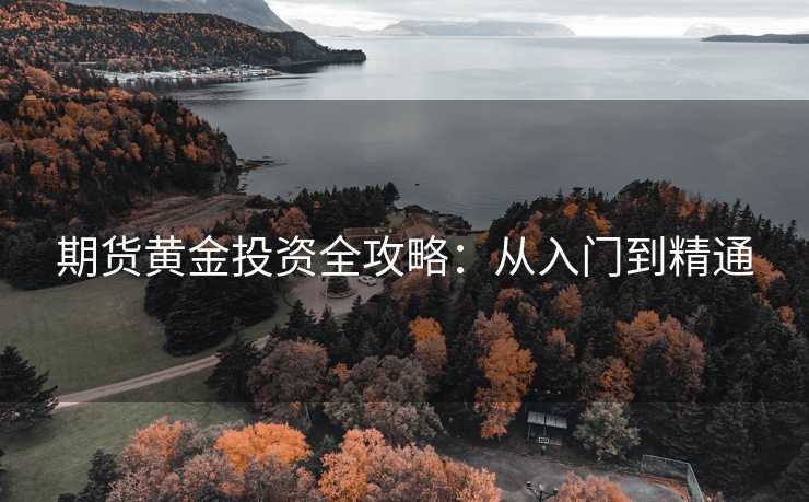 期货黄金投资全攻略：从入门到精通