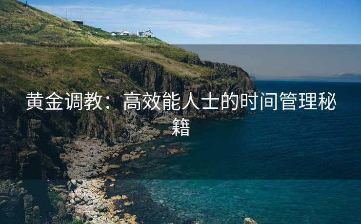 黄金调教：高效能人士的时间管理秘籍