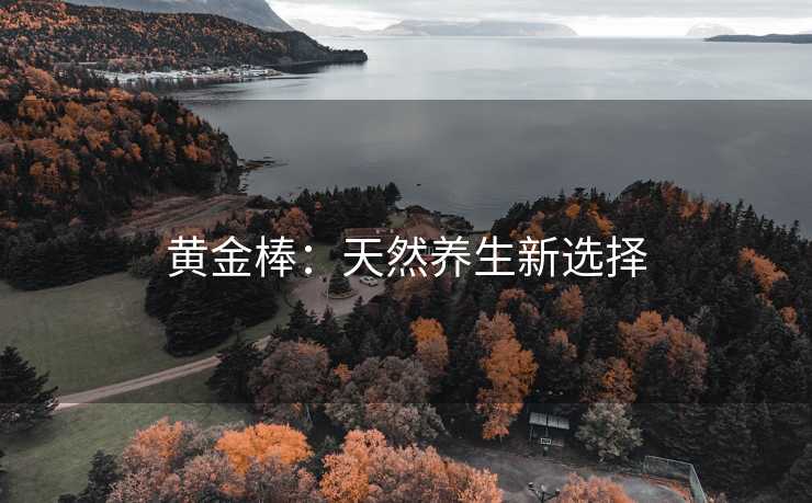 黄金棒：天然养生新选择