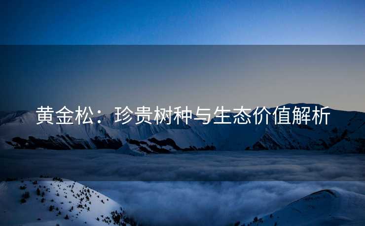 黄金松：珍贵树种与生态价值解析