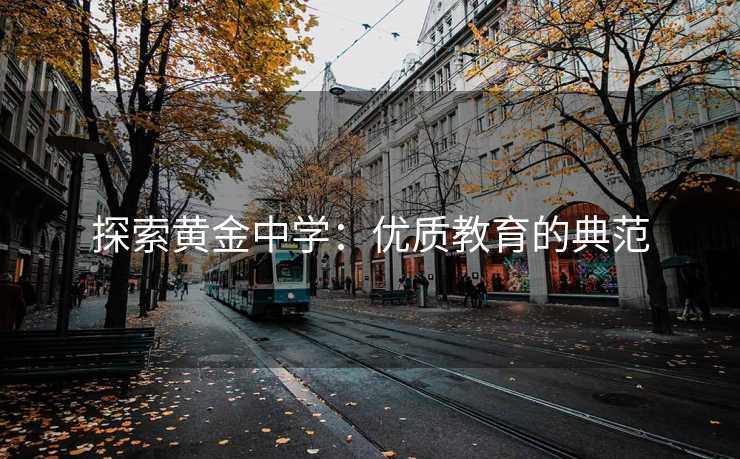 探索黄金中学：优质教育的典范