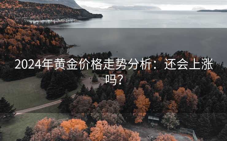 2024年黄金价格走势分析：还会上涨吗？