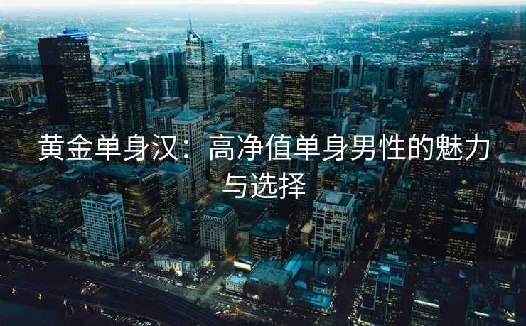 黄金单身汉:高净值单身男性的魅力与选择 黄金单身汉:高净值单身男性的魅力与选择