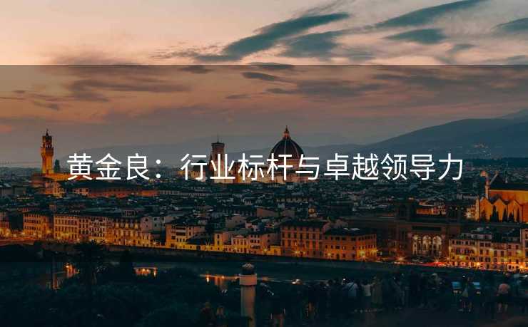 黄金良:行业标杆与卓越领导力 黄金良:行业标杆与卓越领导力