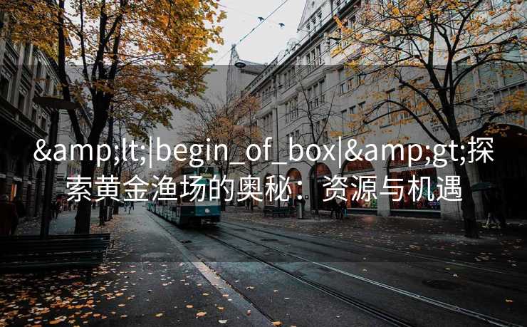&lt;|begin_of_box|&gt;探索黄金渔场的奥秘：资源与机遇