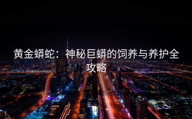 黄金蟒蛇：神秘巨蟒的饲养与养护全攻略