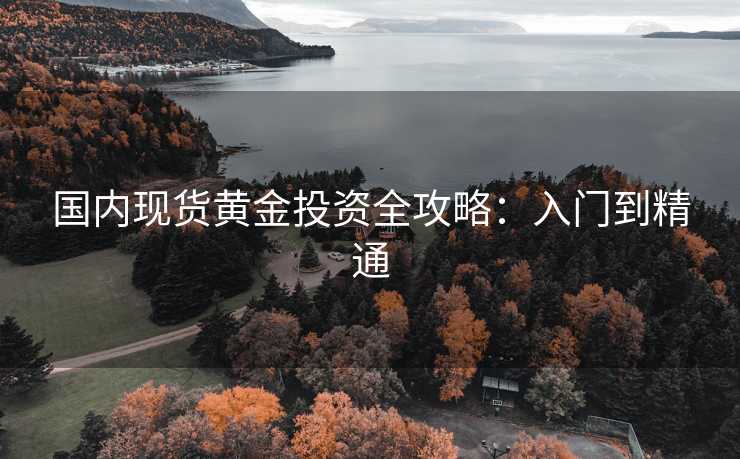 国内现货黄金投资全攻略：入门到精通