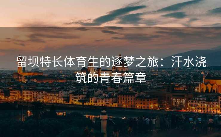 留坝特长体育生的逐梦之旅：汗水浇筑的青春篇章