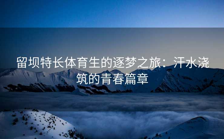 留坝特长体育生的逐梦之旅：汗水浇筑的青春篇章