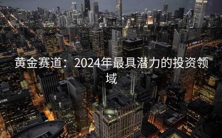 黄金赛道：2024年最具潜力的投资领域