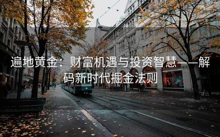 遍地黄金:财富机遇与投资智慧——解码新时代掘金法则 遍地黄金:财富机遇与投资智慧——解码新时代掘金法则