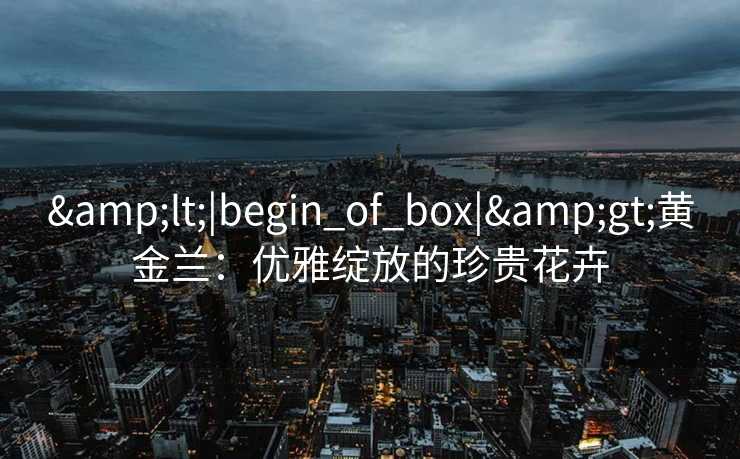&lt;|begin_of_box|&gt;黄金兰：优雅绽放的珍贵花卉