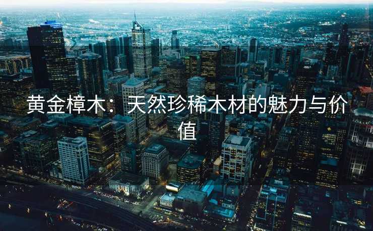 黄金樟木：天然珍稀木材的魅力与价值