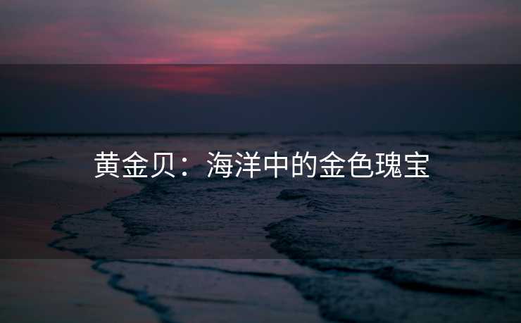 黄金贝：海洋中的金色瑰宝