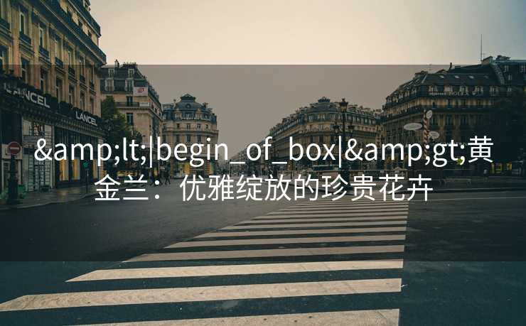 <|begin_of_box|>黄金兰：优雅绽放的珍贵花卉