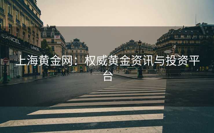 上海黄金网：权威黄金资讯与投资平台