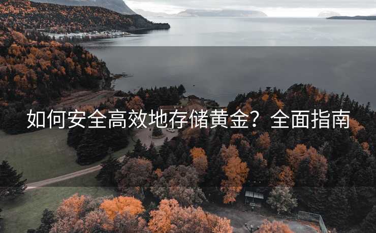 如何安全高效地存储黄金？全面指南