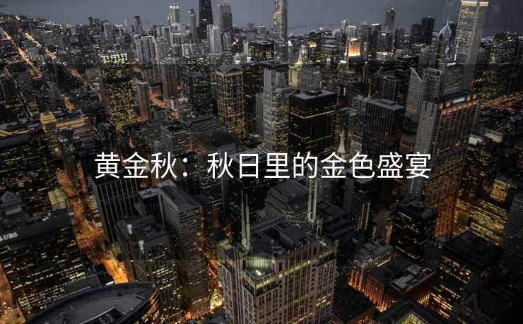 黄金秋：秋日里的金色盛宴