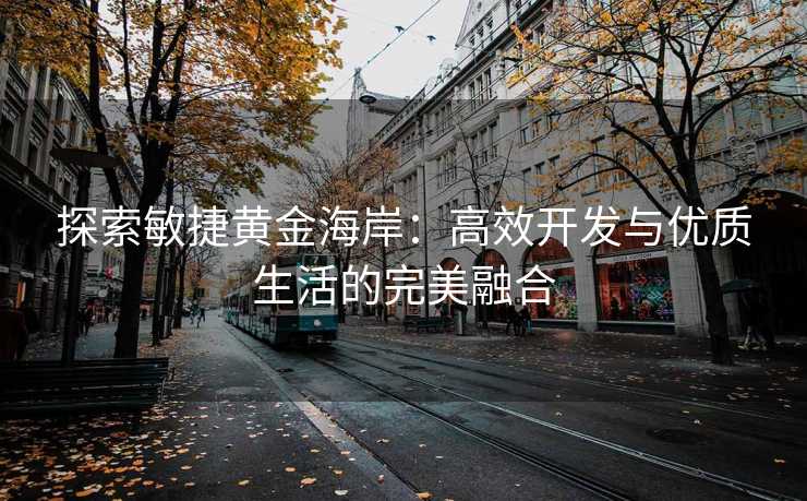 探索敏捷黄金海岸：高效开发与优质生活的完美融合