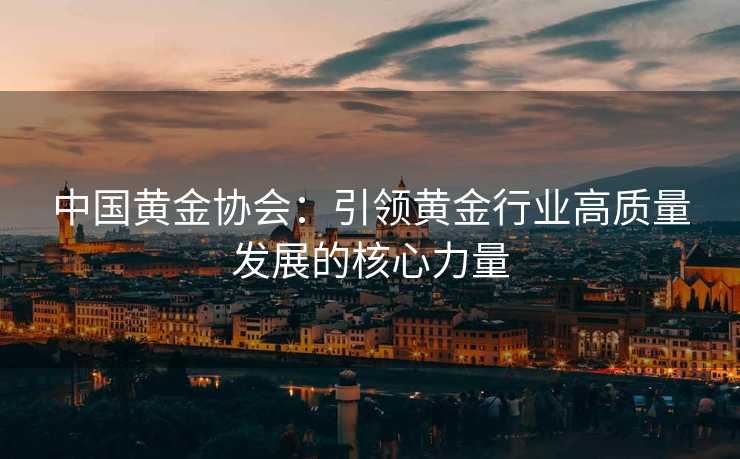 中国黄金协会：引领黄金行业高质量发展的核心力量
