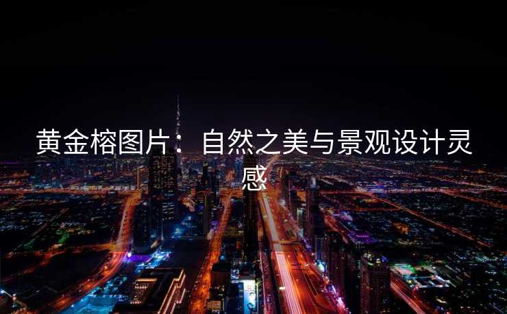 黄金榕图片：自然之美与景观设计灵感