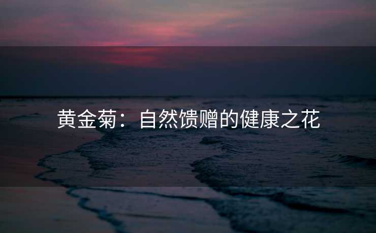 黄金菊：自然馈赠的健康之花