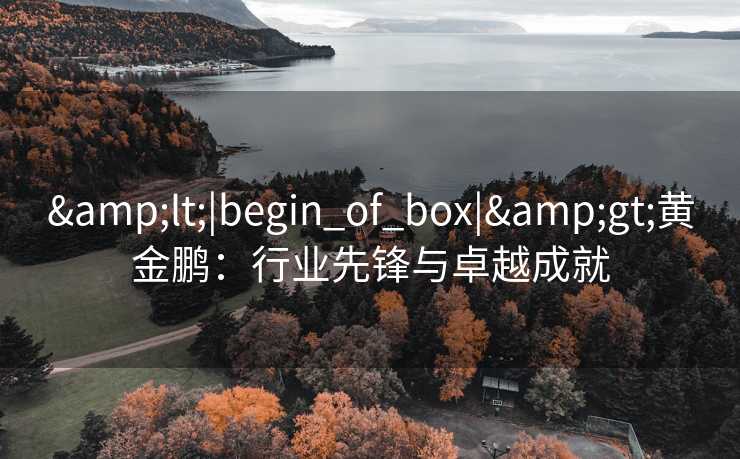 <|begin_of_box|>黄金鹏：行业先锋与卓越成就