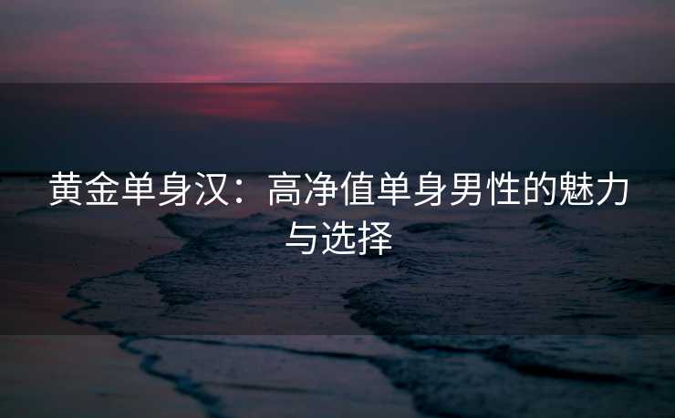 黄金单身汉：高净值单身男性的魅力与选择