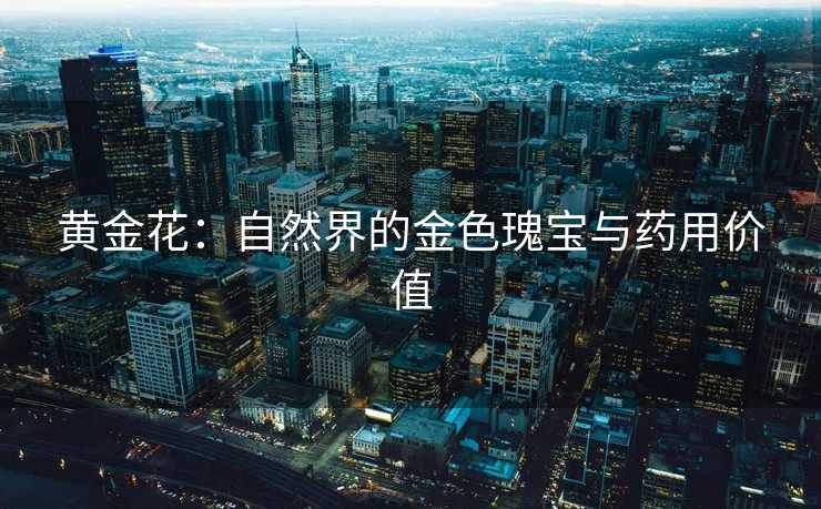黄金花：自然界的金色瑰宝与药用价值