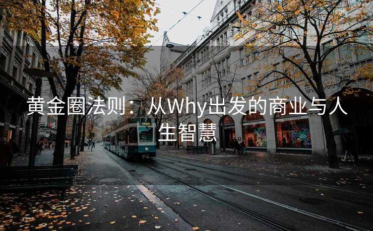 黄金圈法则：从Why出发的商业与人生智慧