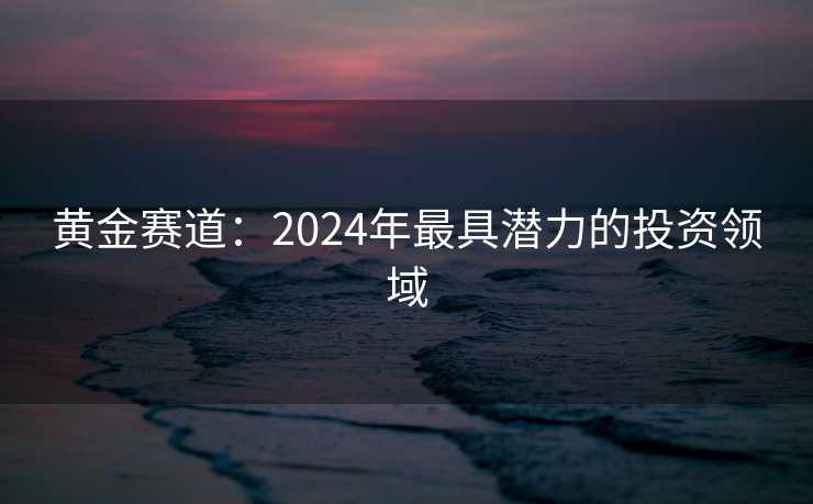 黄金赛道：2024年最具潜力的投资领域