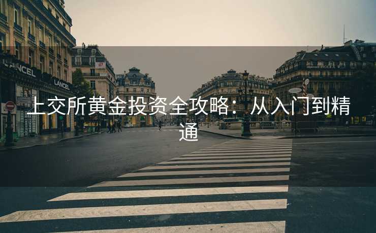 上交所黄金投资全攻略：从入门到精通