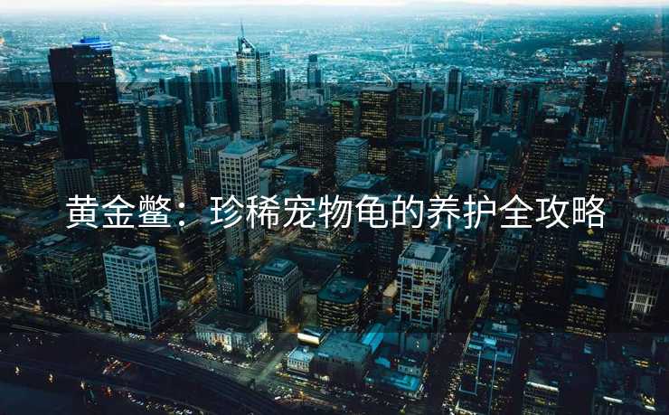 黄金鳖：珍稀宠物龟的养护全攻略