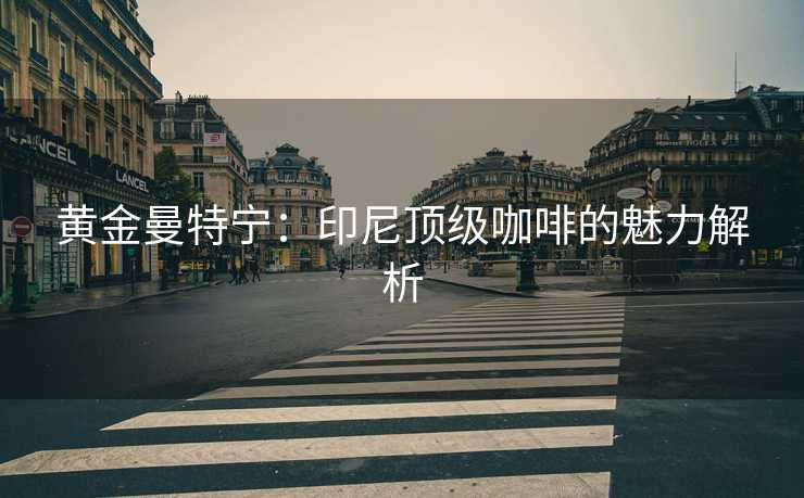 黄金曼特宁：印尼顶级咖啡的魅力解析