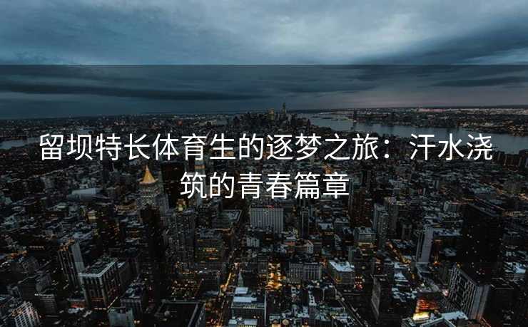 留坝特长体育生的逐梦之旅：汗水浇筑的青春篇章