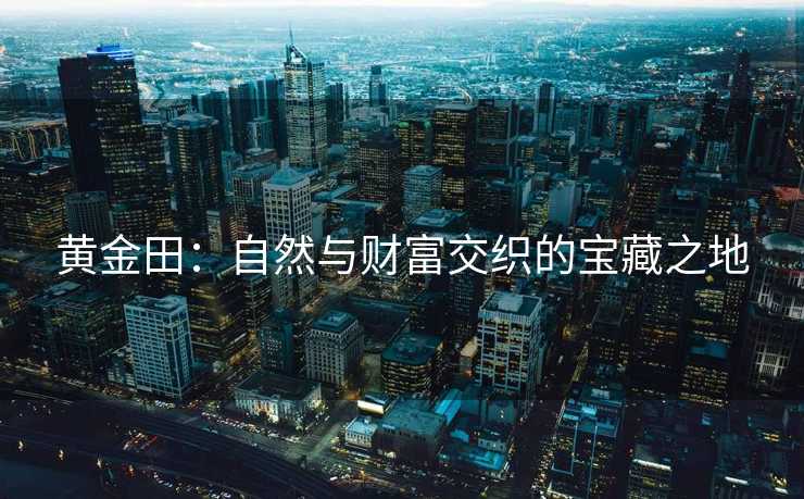 黄金田：自然与财富交织的宝藏之地