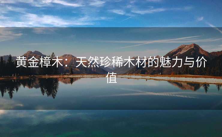 黄金樟木：天然珍稀木材的魅力与价值