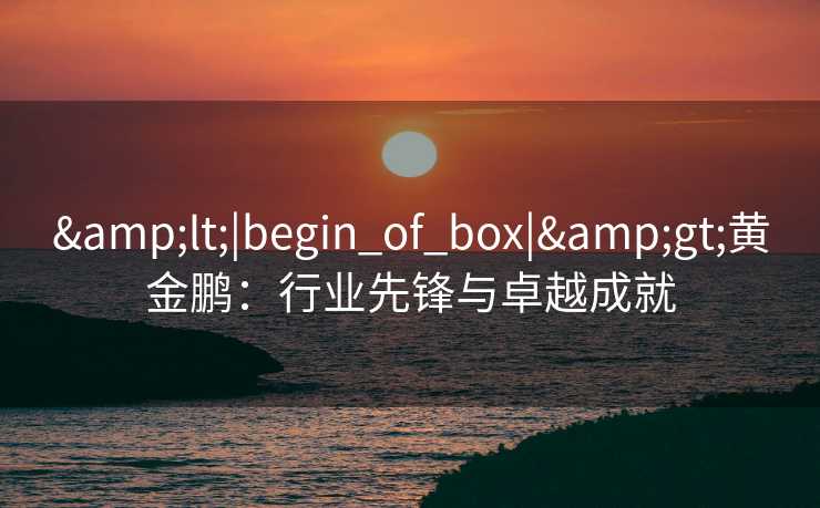 <|begin_of_box|>黄金鹏：行业先锋与卓越成就