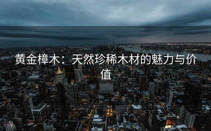 黄金樟木：天然珍稀木材的魅力与价值