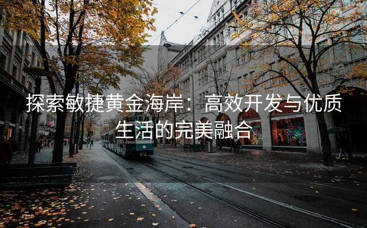 探索敏捷黄金海岸：高效开发与优质生活的完美融合